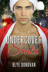 Read Undercover Santa, part of the Santa's Package Holiday Anthology by Blye Donovan #RLFblog #Holiday #RomanticSuspense